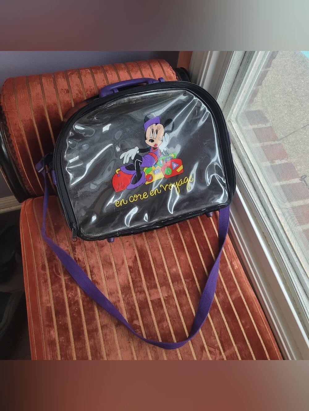 Vintage Disney Bag